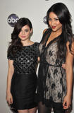 http://img156.imagevenue.com/loc203/th_97311_Lucy_Hale_Disney_Winter_Press_Tour_032_122_203lo.jpg