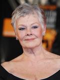 http://img156.imagevenue.com/loc345/th_78475_Judi_Dench_1_123_345lo.jpg