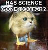 Facebook Pictures Covers Wallpapers Funny wall pics h1cq2ldt7q