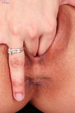 Nicol n11fq2qhnm