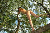 Alizeya-A-Tree-Monkey-2--14hkj4v1ia.jpg